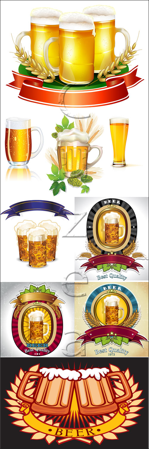      / Beer and beer mugs in vector