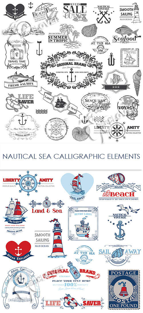 Nautical sea calligraphic elements 0473