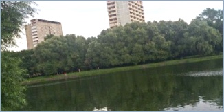 Пруд Садки в Москве - Sadky Pond in Moscow