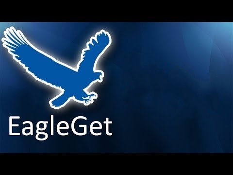 EagleGet 1.1.8.3 + Portable