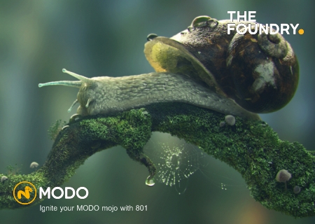 The Foundry MODO 801 /(64bit) with Assets & Samples