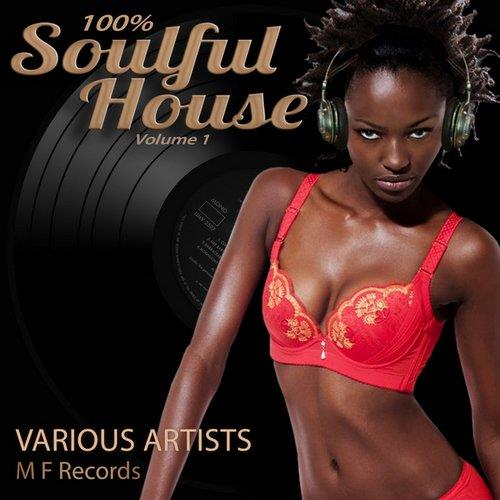 VA - 100 Percent Soulful House, Vol. 1 (2014)