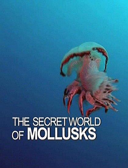 Удивительный мир моллюсков / The Secret World Of Mollusks (2013) SATRip