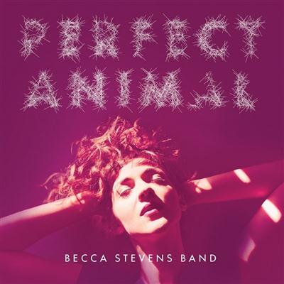 Becca Stevens Band - Perfect Animal (2015)